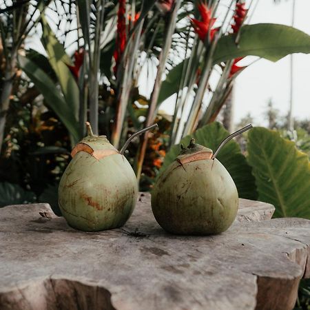 Desa Cabins Balian エクステリア 写真