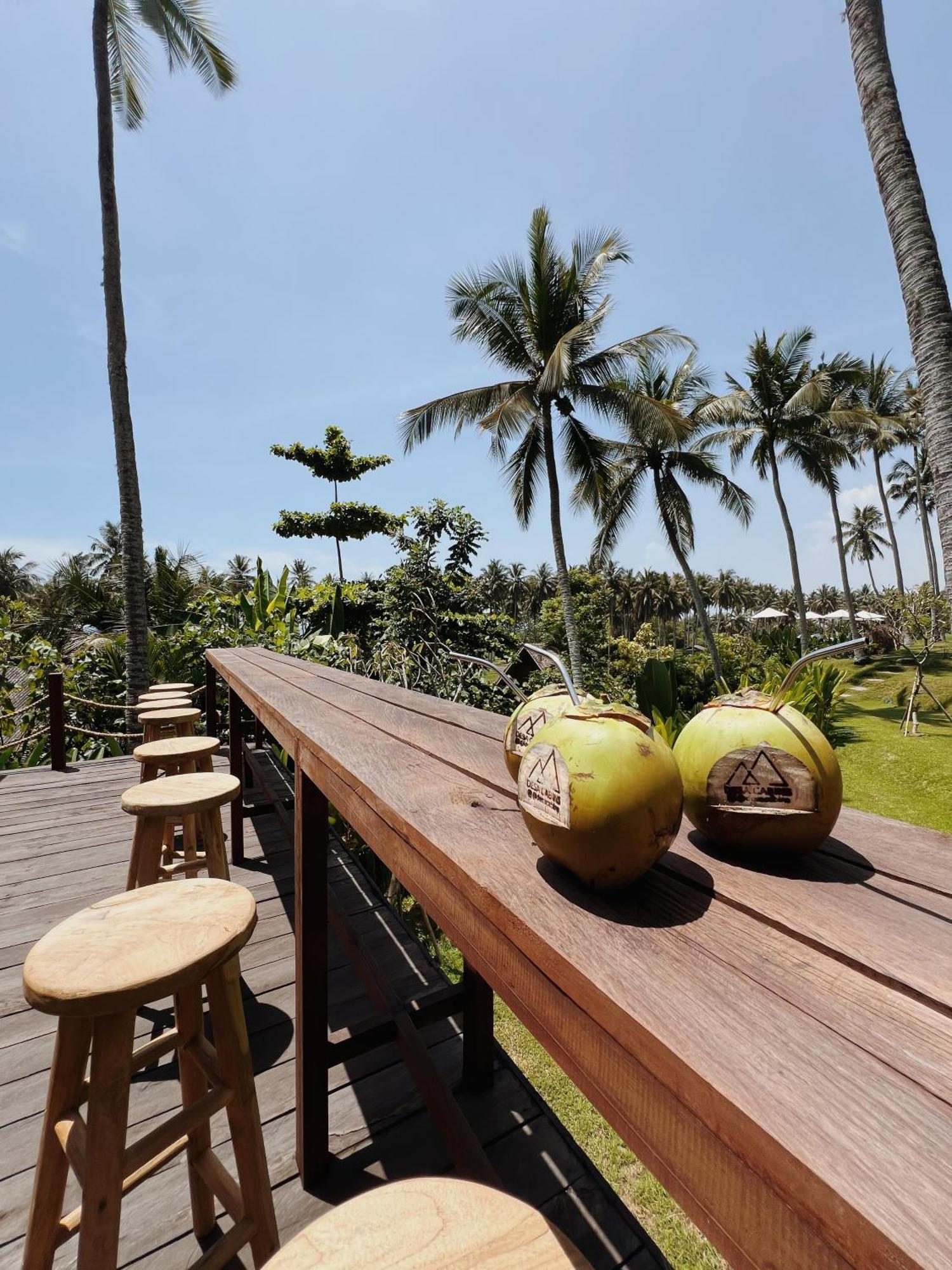 Desa Cabins Balian エクステリア 写真