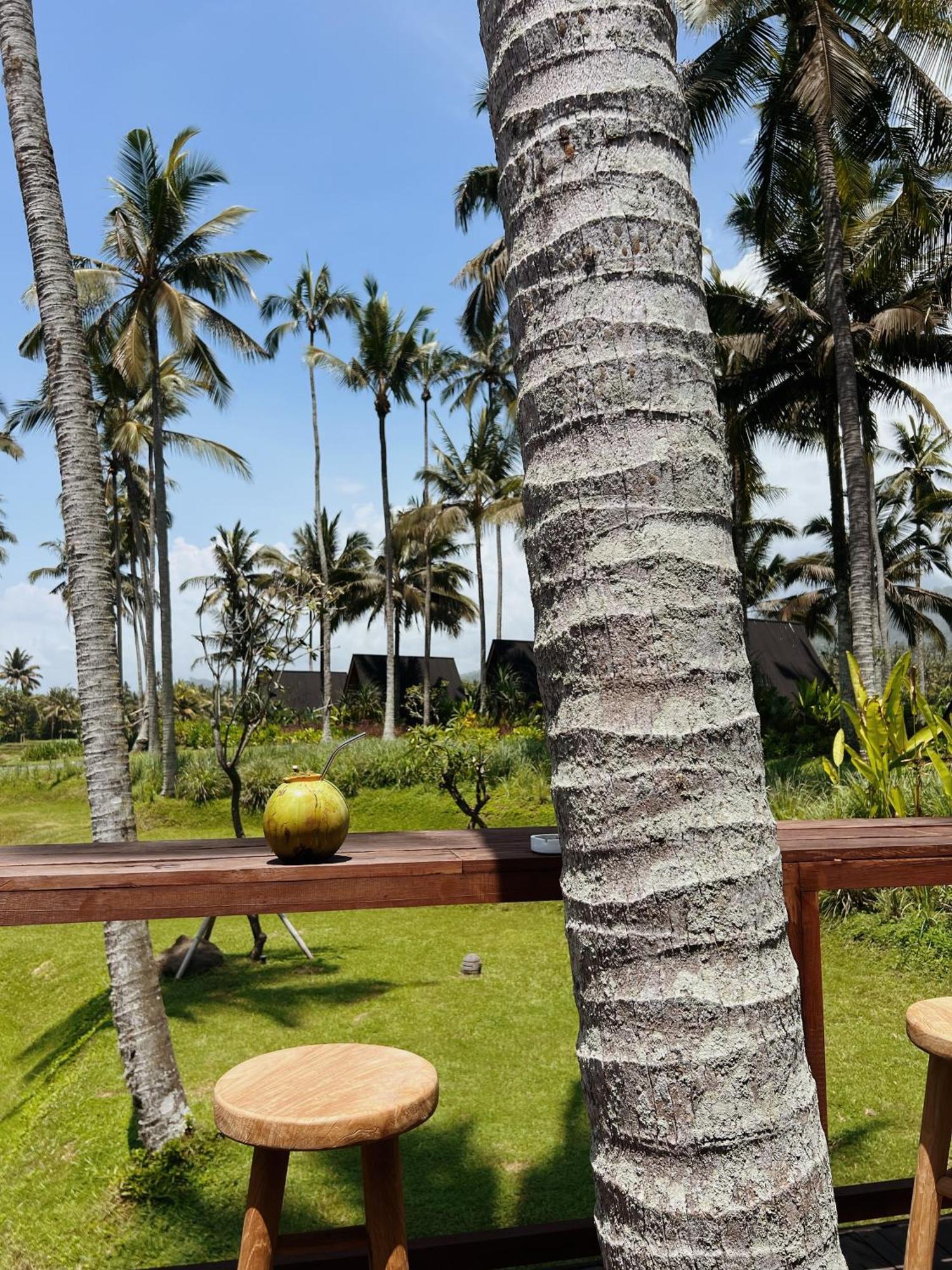 Desa Cabins Balian エクステリア 写真