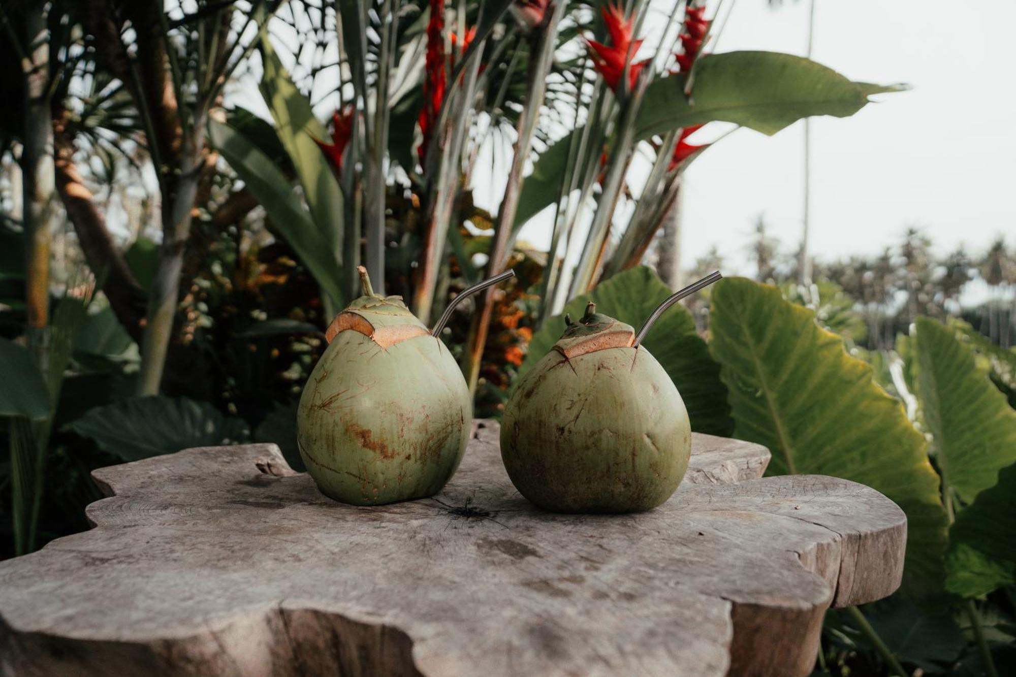 Desa Cabins Balian エクステリア 写真