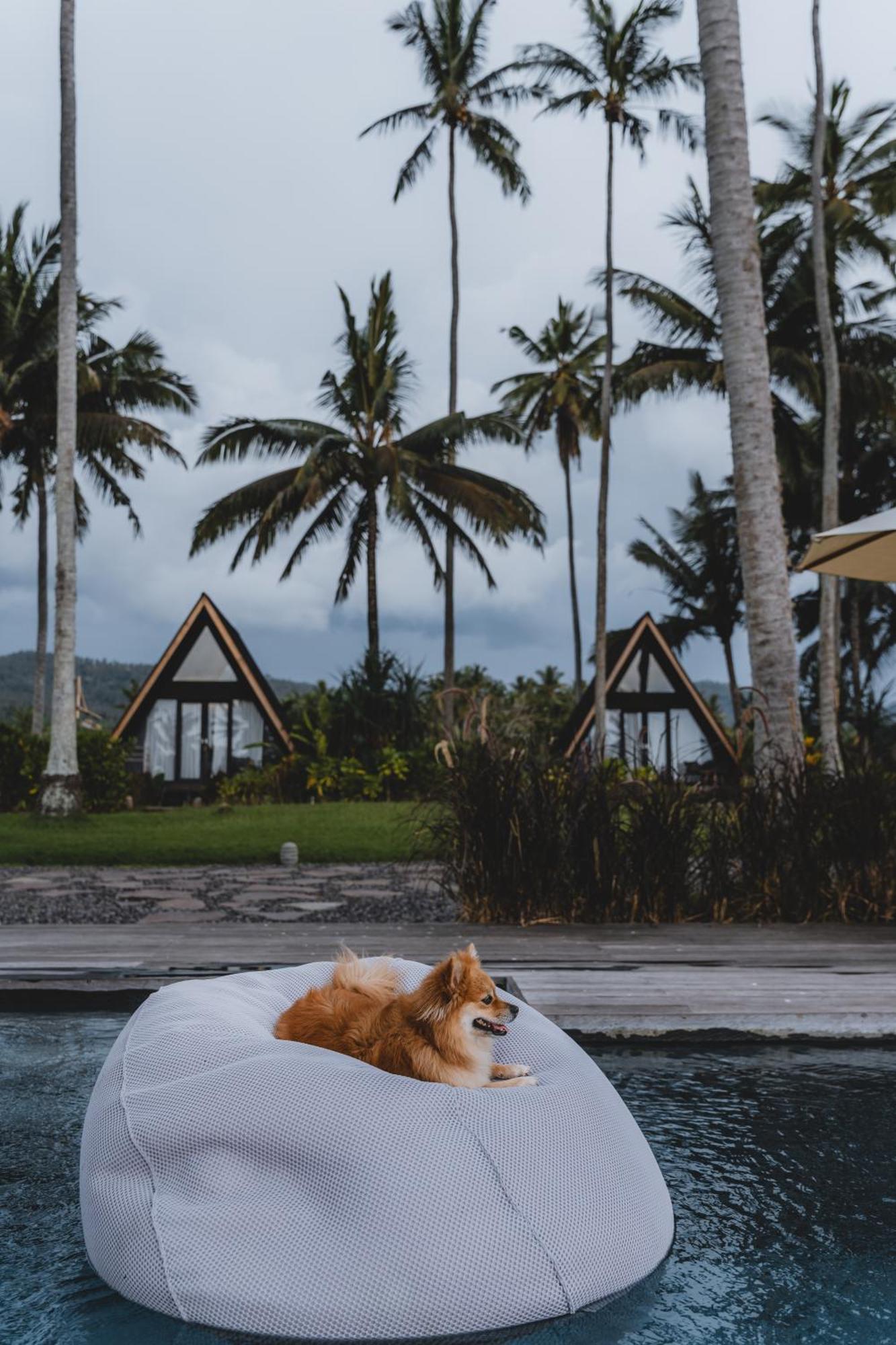 Desa Cabins Balian エクステリア 写真