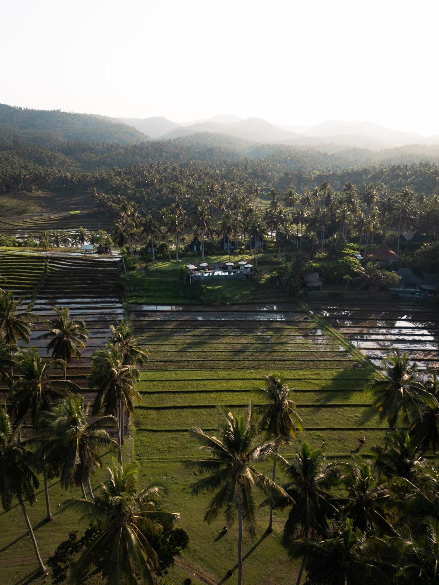 Desa Cabins Balian エクステリア 写真