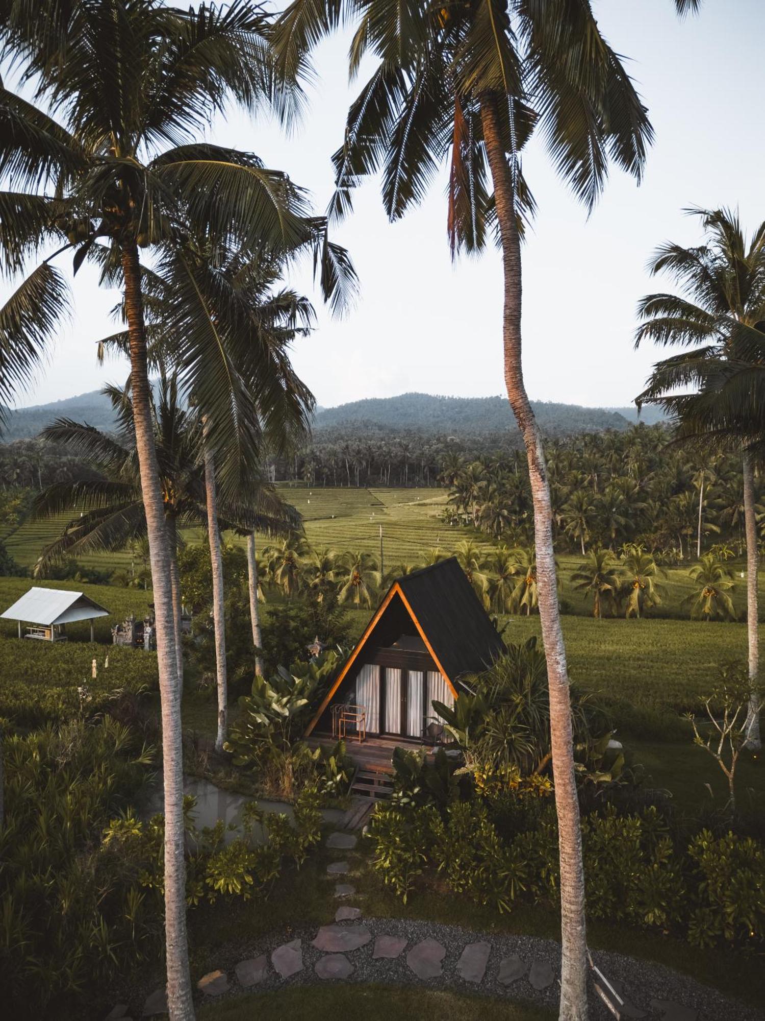 Desa Cabins Balian エクステリア 写真