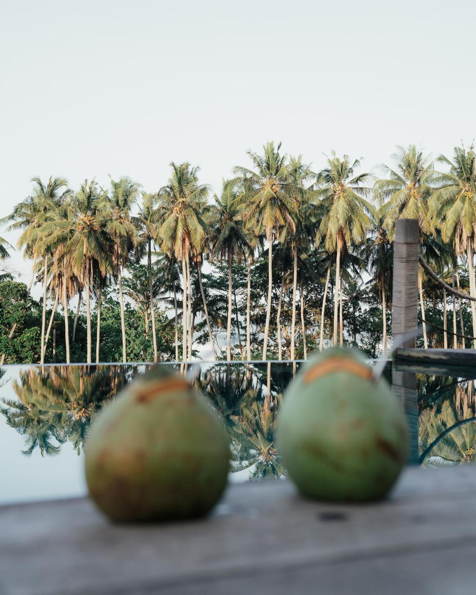 Desa Cabins Balian エクステリア 写真